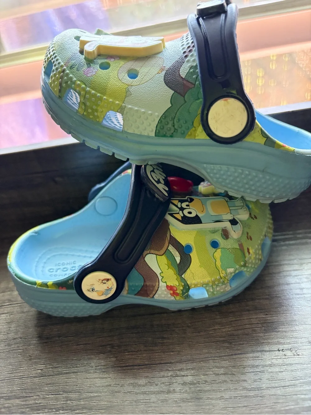 CROCS Kids  BLUEY Unisex size C 6